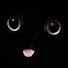 GXps57ogq3w-channel-avatar-Sceary Nightmare