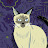 @diegovasconcelos9711 Avatar