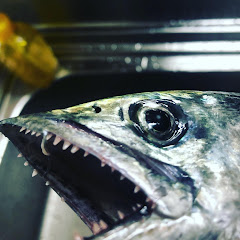 えいちゃんanglerアイコン画像