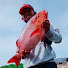 jFdFn_eRQd0-channel-avatar-DALAGAN MANCING
