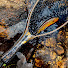 n2aSNVQ5Ak0-channel-avatar-New Fly Fishing Odyssey