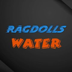 Ragdolls Water net worth