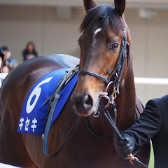 競馬全レース予想TVアイコン画像