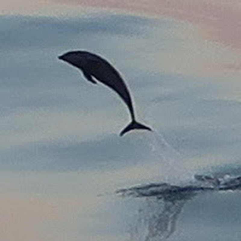 Piddlepaddler