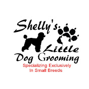 Shellys Little Dog Grooming