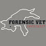 JHdvv6cKXzk-channel-avatar-Forensic Vet- David Bailey