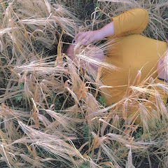 Будни Teenager Game (Будни Teenager Game)