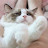 youtube avatar