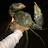 @سلامدانك-س7ذ