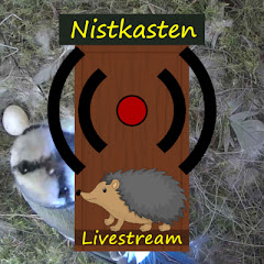 Nistkasten Livestream
