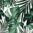 eNP4p_ypwVA-channel-avatar-coloringlo