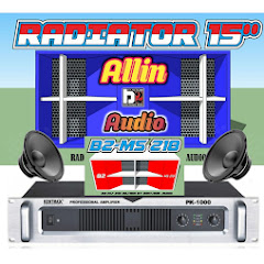 Allin Audio channel logo