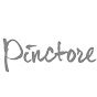 Pinctore Inc logo