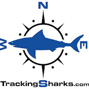 Tracking Sharks