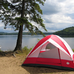 Lvfree Adventures Avatar