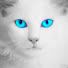 vyDwQdFQCN4-channel-avatar-SodaEffect
