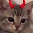 fdGqDBtf-8Q-channel-avatar-imnotcute imgorgeous