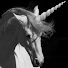 sX1kBtorpJo-channel-avatar-FlyingUnicorn