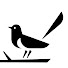 QOZXTMcVs1E-channel-avatar-sevenishmagpies
