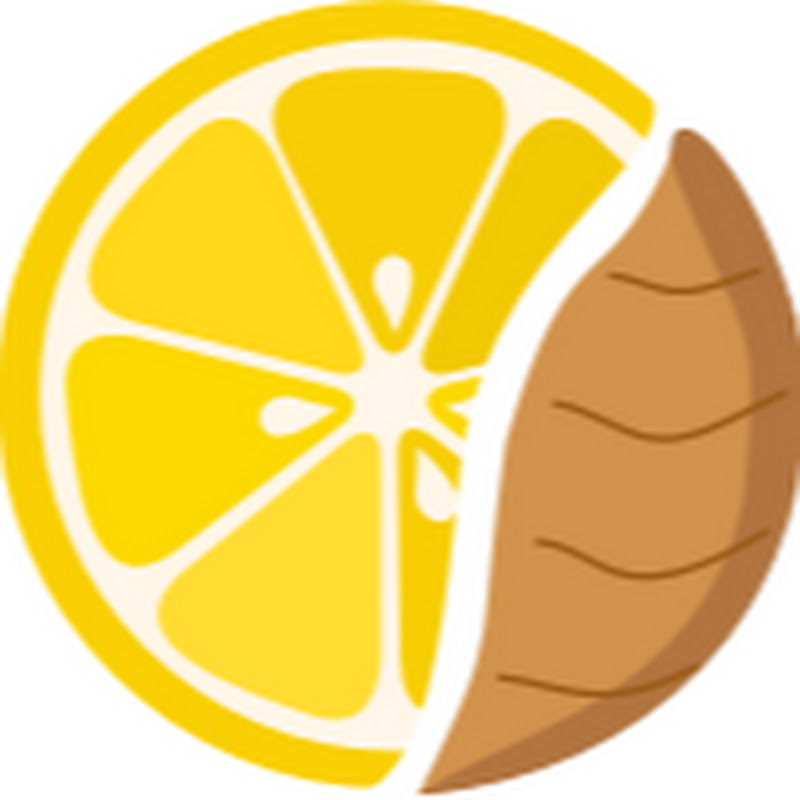 TheLemonGinger