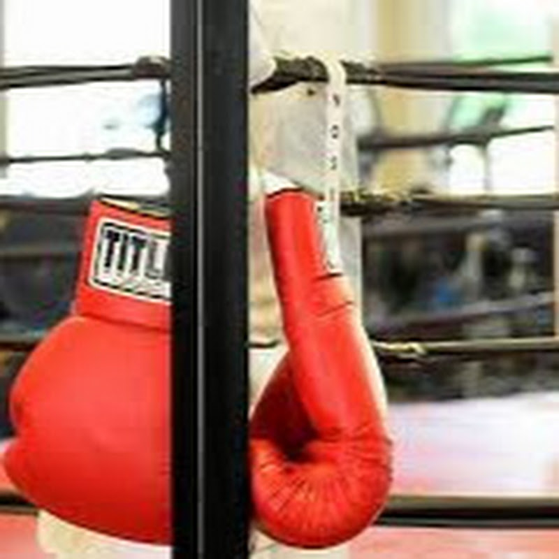 BOXING HAVEN icon