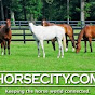 HorseCity