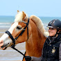 Rox Petit Haflinger