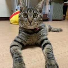 ナインゲロんパ