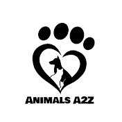 Animals A2Z