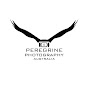 Peregrine Photography Australia logo