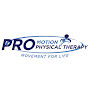 The PRO Show logo