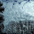 I-YgCsXs1PY-channel-avatar-aqualia aqualia