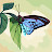 @user-lz1te4cn6i