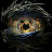 @shadowofneo Avatar