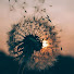 G9CT9s9X_eo-channel-avatar-#Multifandom23