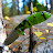 @dseednorway