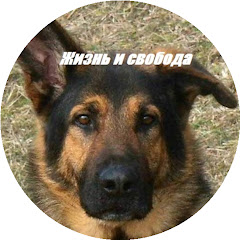 Жизнь и свобода avatar