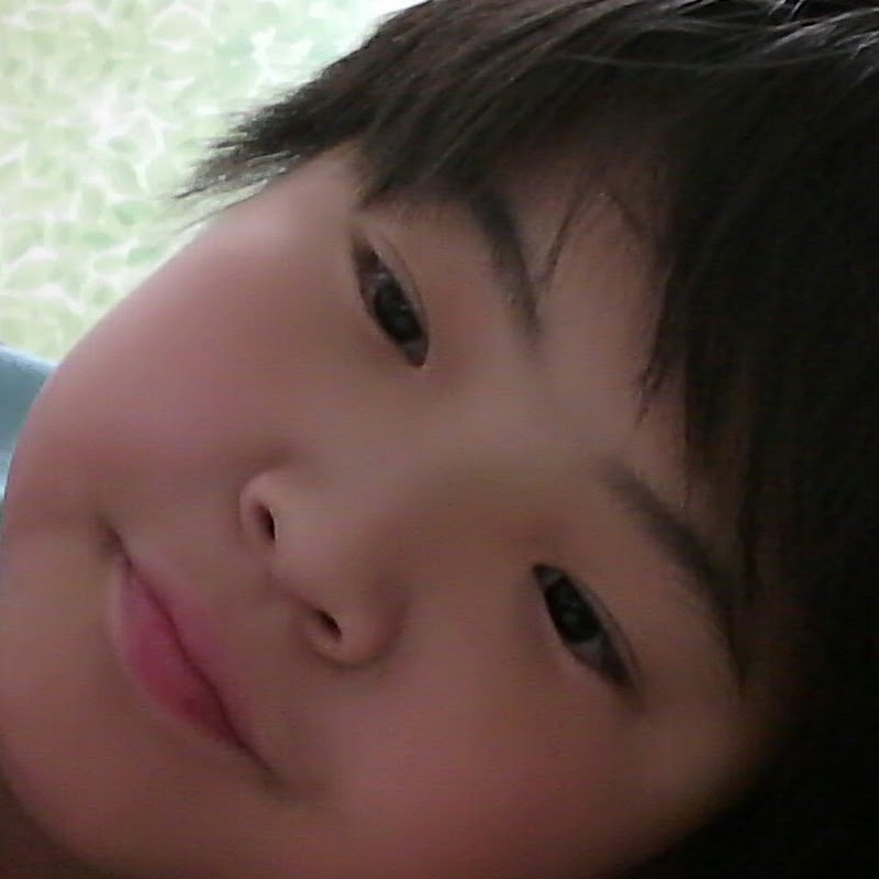 TV팬더