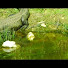 8uwQbFzk4Zc-channel-avatar-gatorpics09