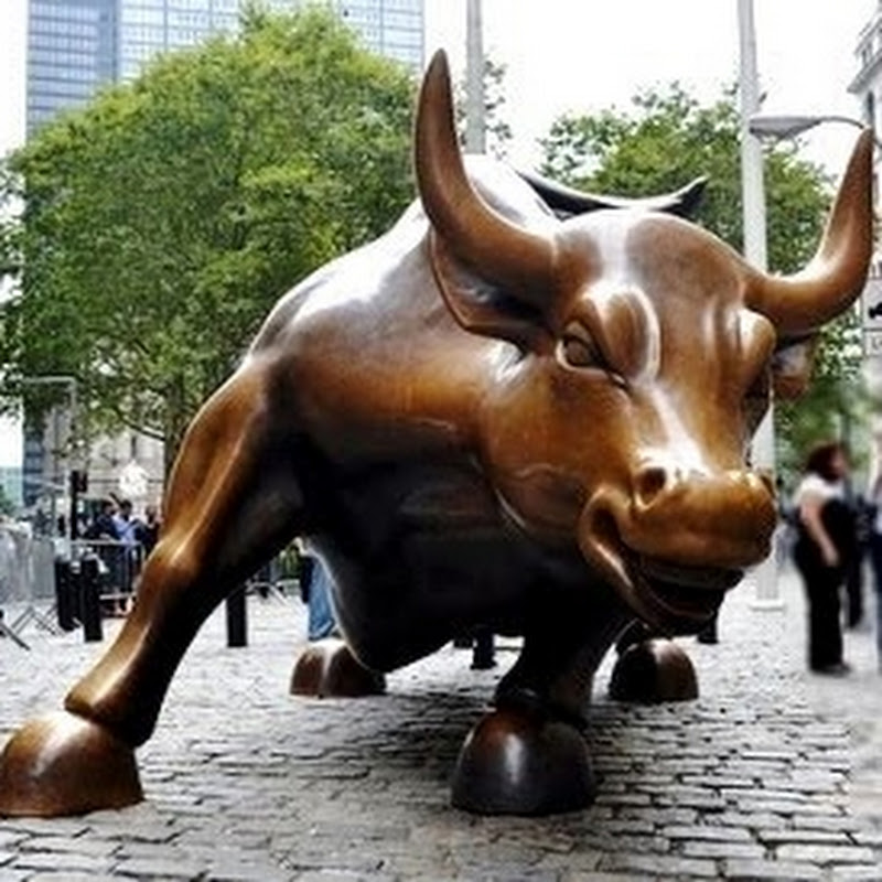 TheBullsOnWallStreet
