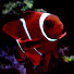 hoFNQXFdezI-channel-avatar-Eagle Aquatics