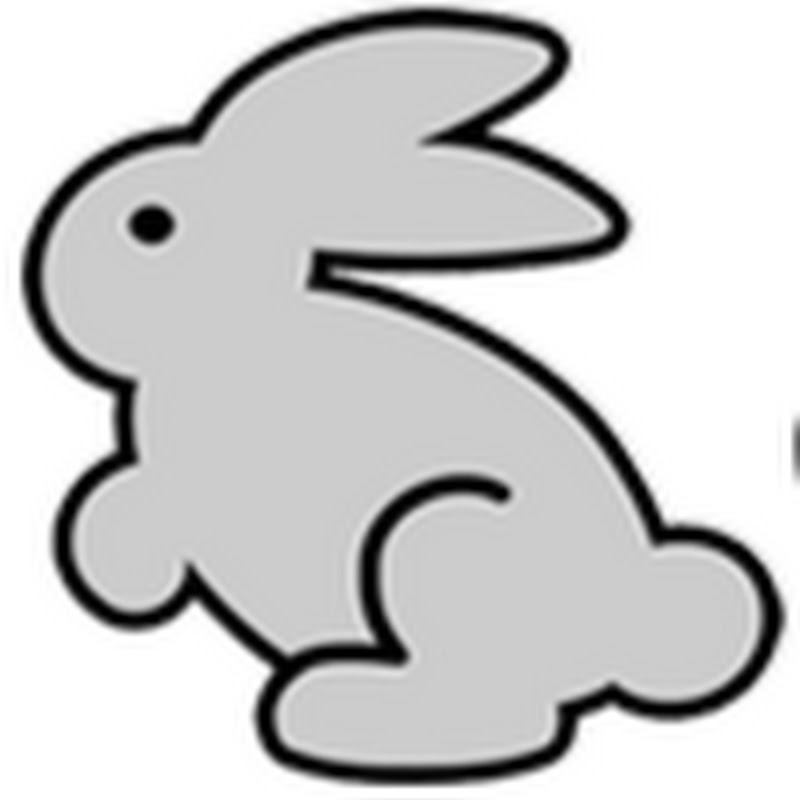 Pickybunny Boutique