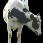 Cyclops Cow logo