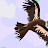 @mohammedmegahed8302