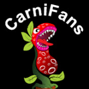 Carnifans - Carnivorous Plants