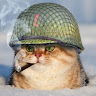 Автор