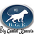sOWYOf_Pvv8-channel-avatar-Big Gemini Kennels