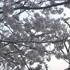 子どもと環境〜小さなことから〜アイコン画像