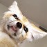 v7_UDtQ37-g-channel-avatar-coolchris538
