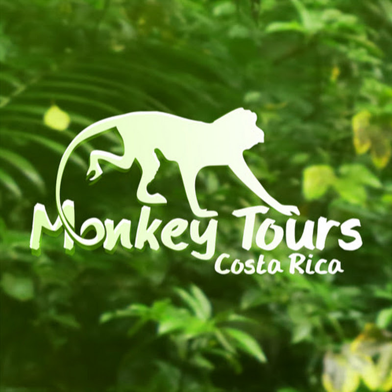 Costa Rica Monkey Tours